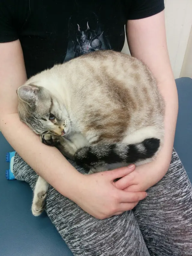 San Francisco Pet Hospital — customer photo 10