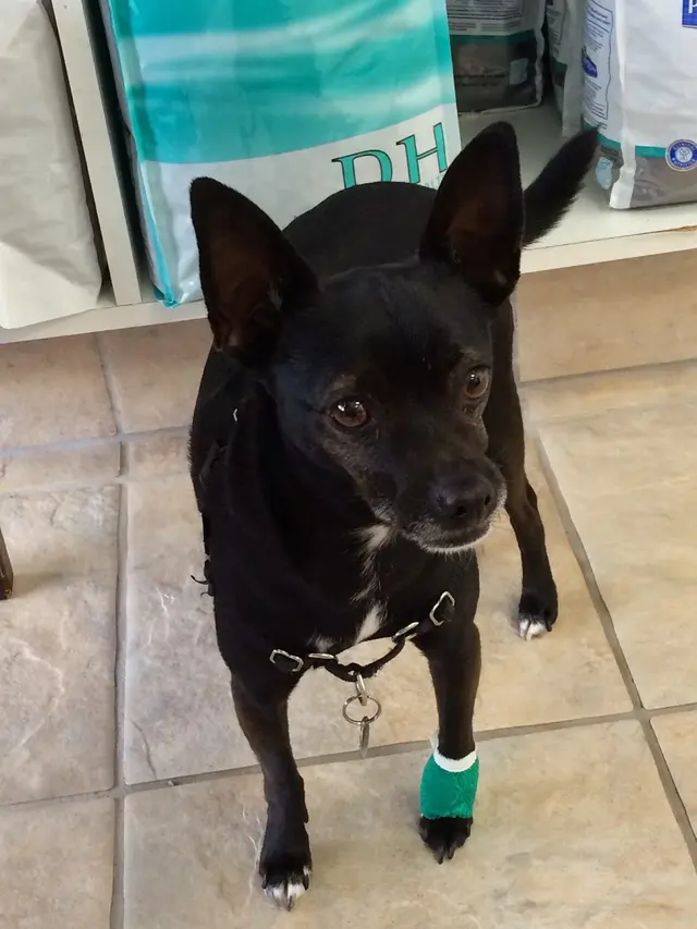 Seven Hills Veterinary Hospital — photo from the business 7