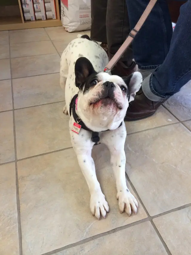Seven Hills Veterinary Hospital — photo from the business 5