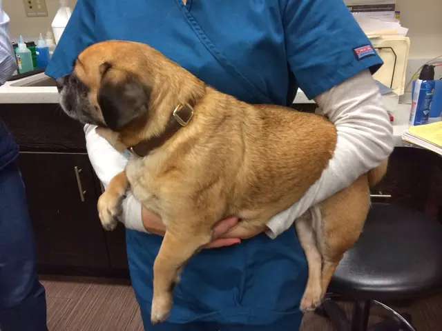 Seven Hills Veterinary Hospital — photo from the business 1