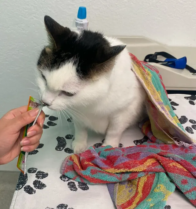 San Francisco SPCA Community Veterinary Clinic — customer photo 9