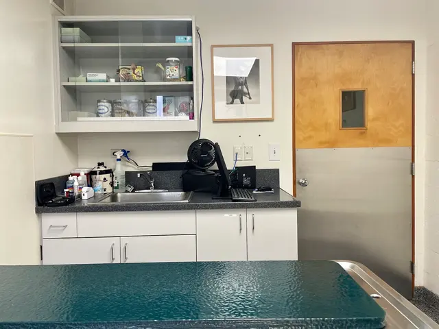 Arguello Pet Hospital — customer photo 8