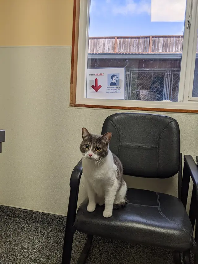 Arguello Pet Hospital — customer photo 7