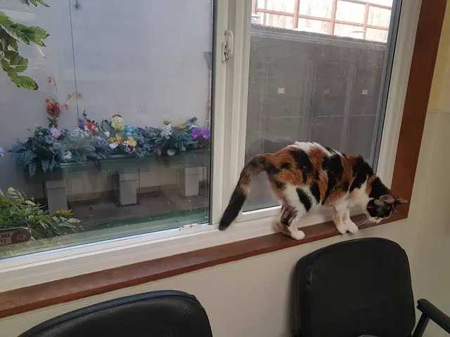 Arguello Pet Hospital — customer photo 3
