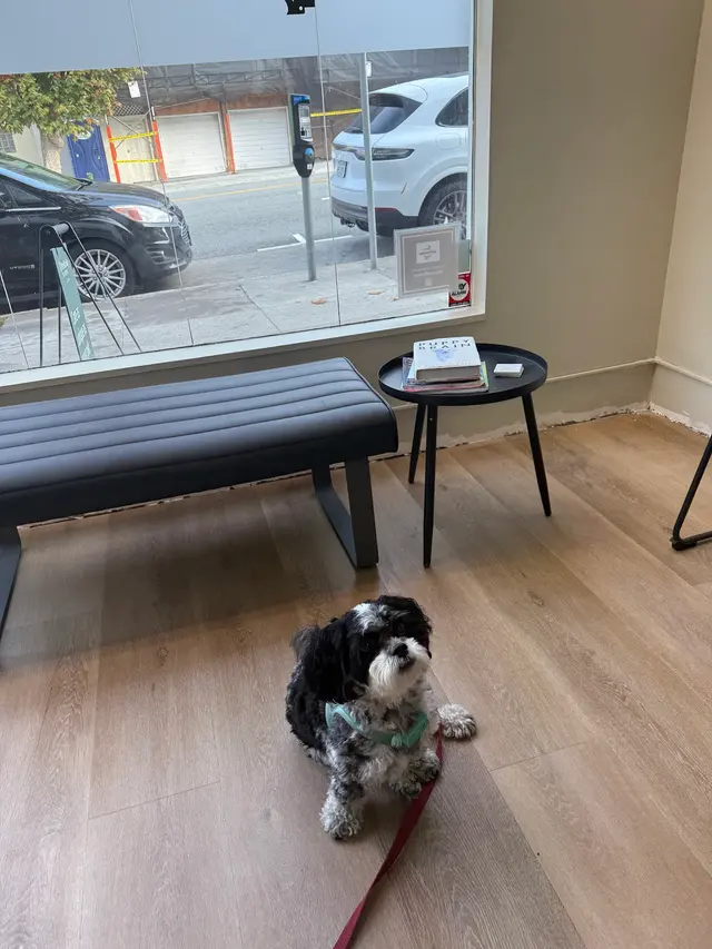 Presidio Way Pet Hospital — customer photo 4