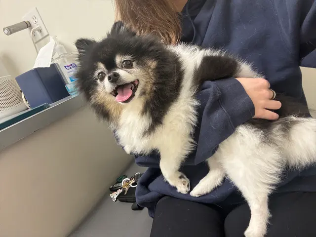 Presidio Way Pet Hospital — customer photo 2