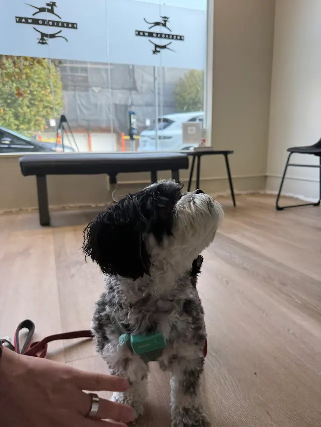 Presidio Way Pet Hospital — customer photo 5