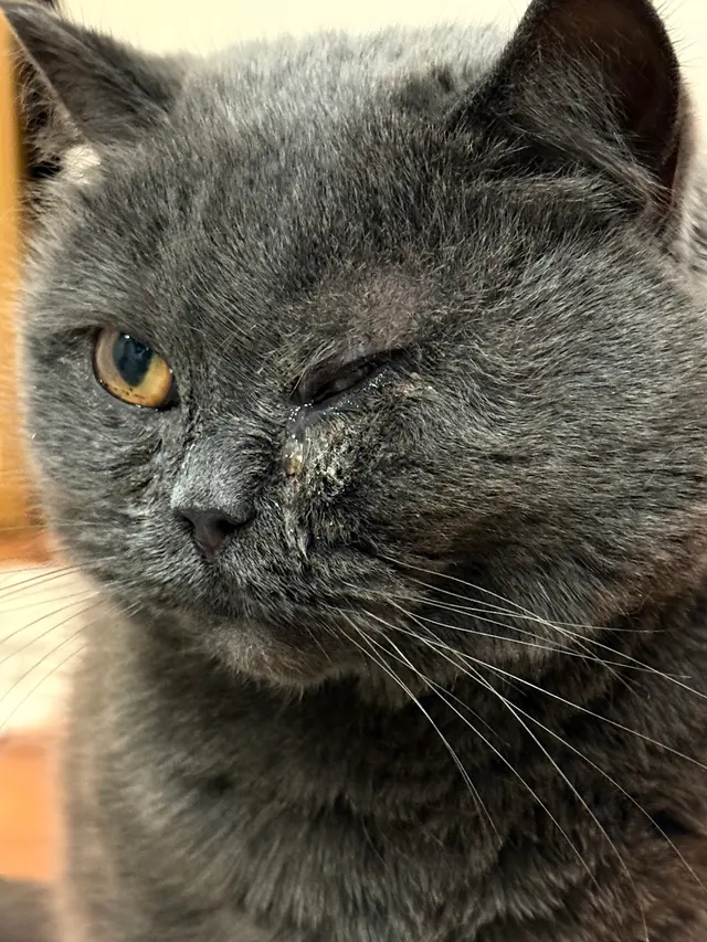Presidio Way Pet Hospital — customer photo 1