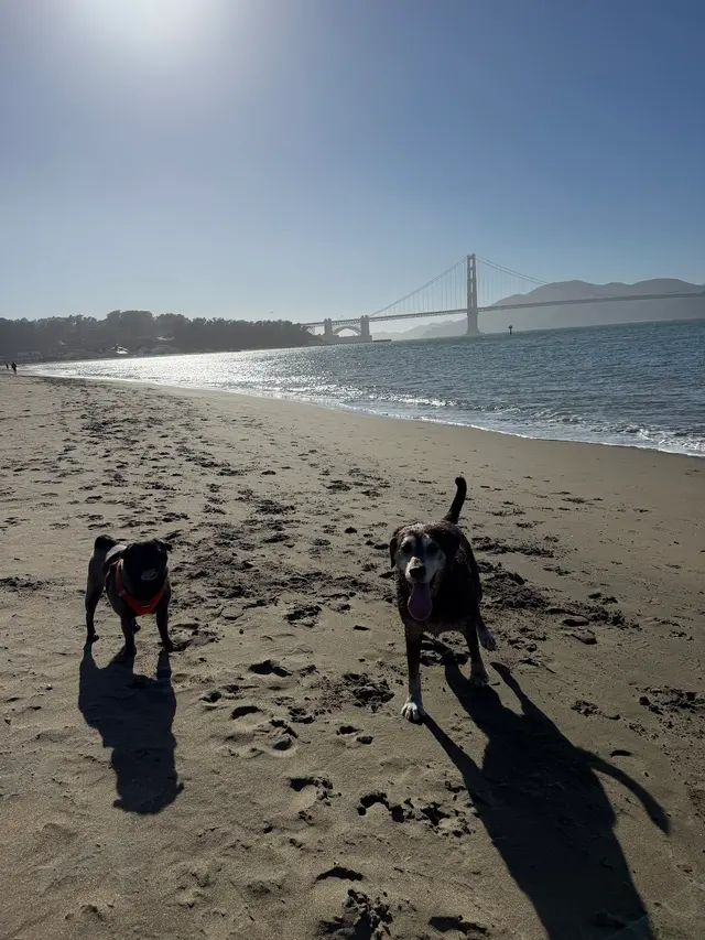 Presidio Way Pet Hospital — customer photo 10