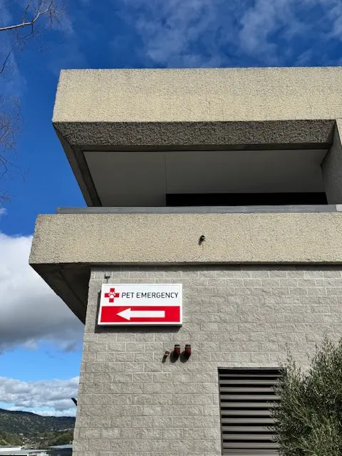 Pet Emergency & Specialty Center of Marin — photo from the business 8