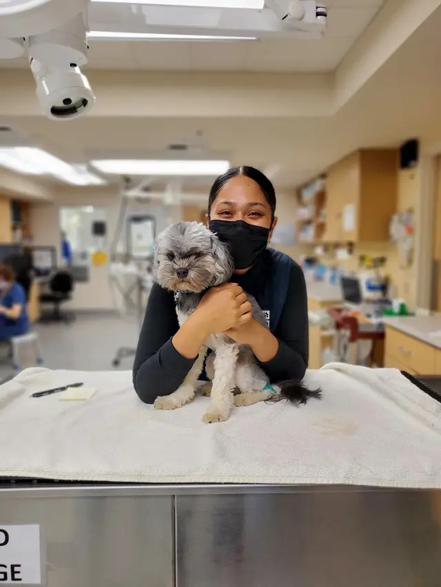 Pet Emergency & Specialty Center of Marin — photo from the business 4