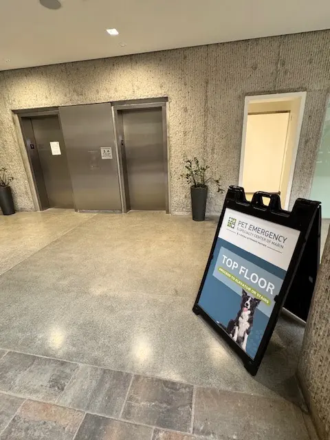 Pet Emergency & Specialty Center of Marin — photo from the business 7