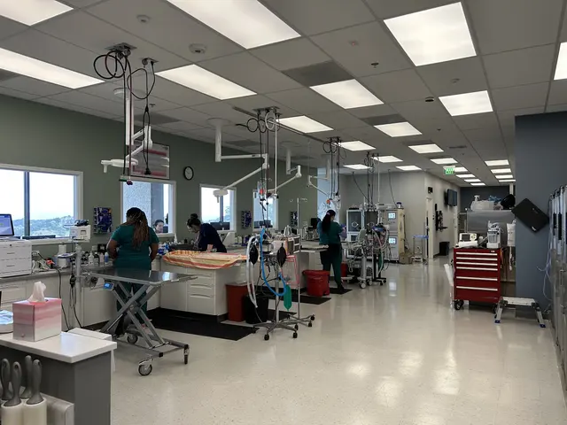 Pet Emergency & Specialty Center of Marin — photo from the business 3