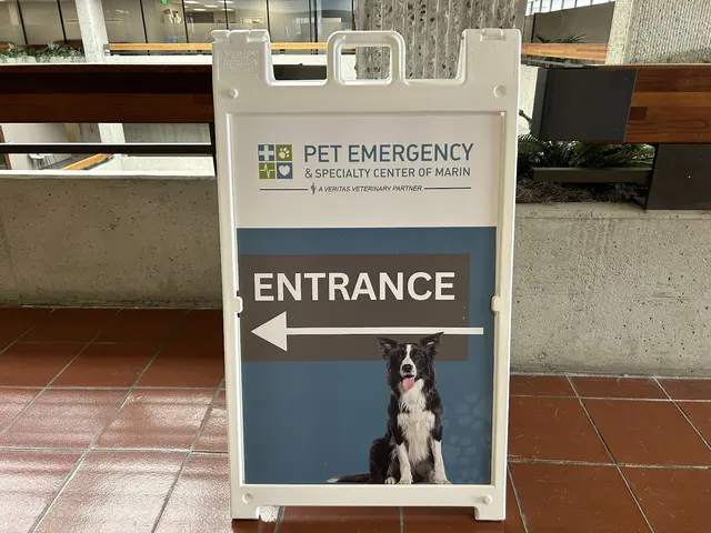 Pet Emergency & Specialty Center of Marin — photo from the business 5