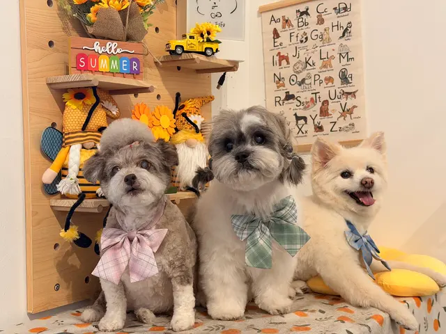 Healthy Pets Veterinary Hospital — customer photo 7