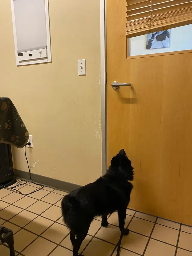 Healthy Pets Veterinary Hospital — customer photo 6