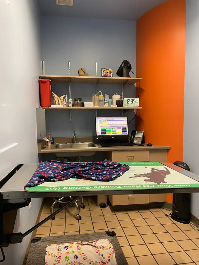 Healthy Pets Veterinary Hospital — customer photo 5