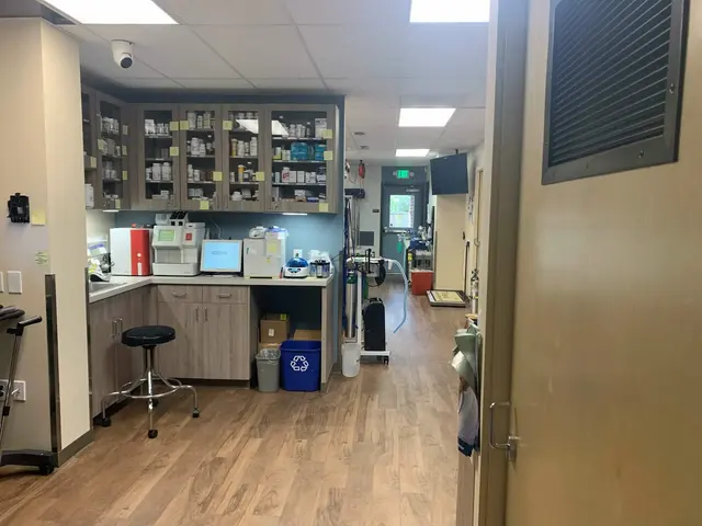 Irving Pet Hospital — photo from the business 3