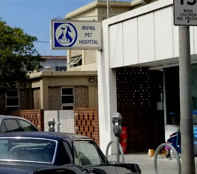Irving Pet Hospital — customer photo 6