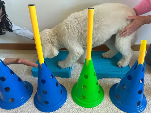 Lotus Veterinary House Calls — customer photo 4