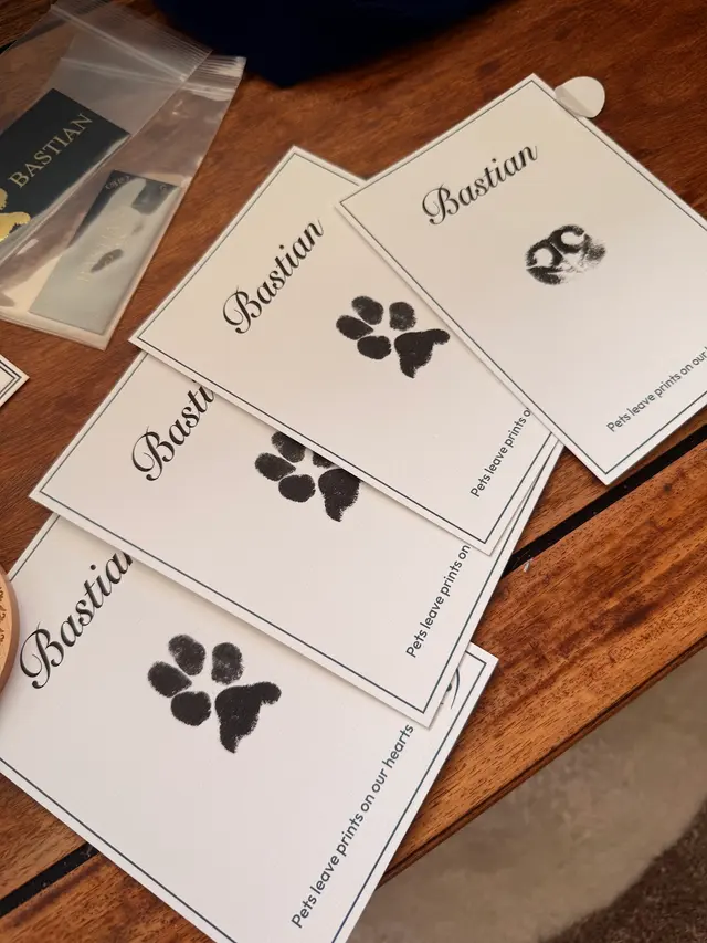 Lotus Veterinary House Calls — customer photo 11