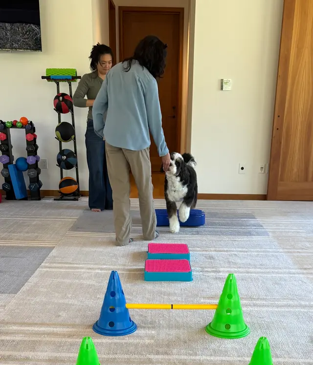 Lotus Veterinary House Calls — photo from the business 3