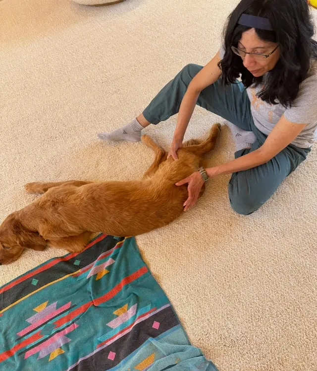 Lotus Veterinary House Calls — customer photo 2