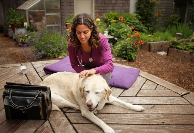 Lotus Veterinary House Calls — photo from the business 1