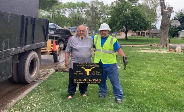 Vera Cruz Tree Service and landscaping — photo from the business 6