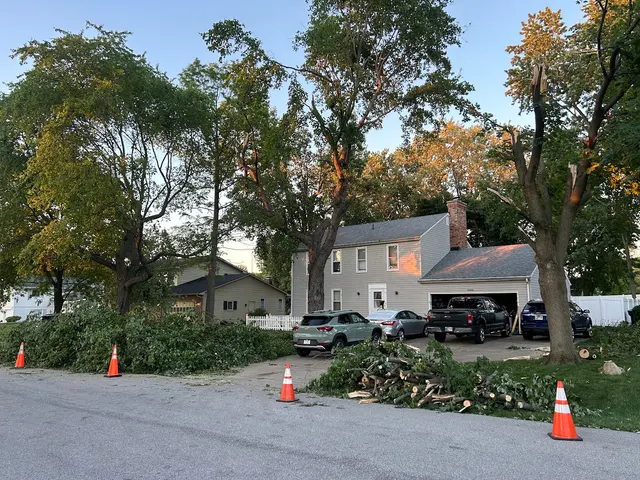 Vera Cruz Tree Service and landscaping — customer photo 7
