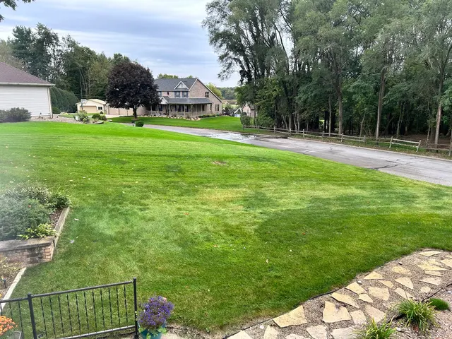 Vera Cruz Tree Service and landscaping — customer photo 11