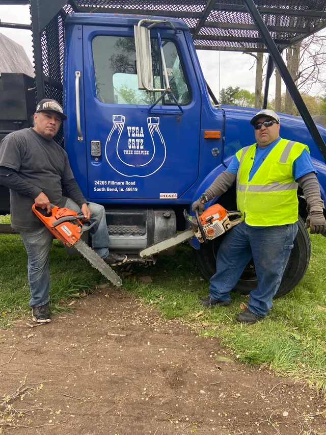 Vera Cruz Tree Service and landscaping — customer photo 4