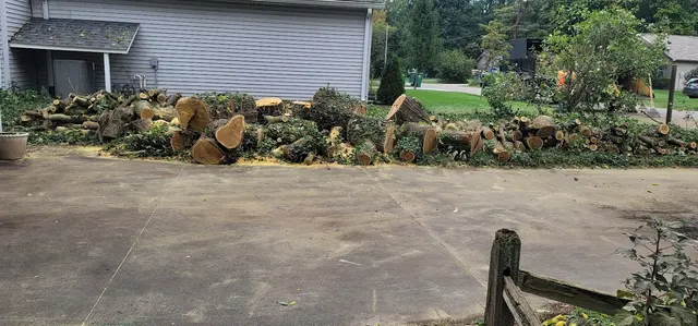 Vera Cruz Tree Service and landscaping — customer photo 5