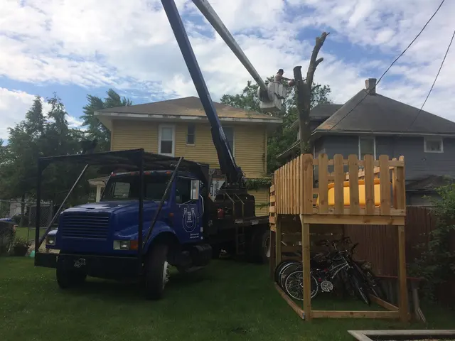 Vera Cruz Tree Service and landscaping — customer photo 8