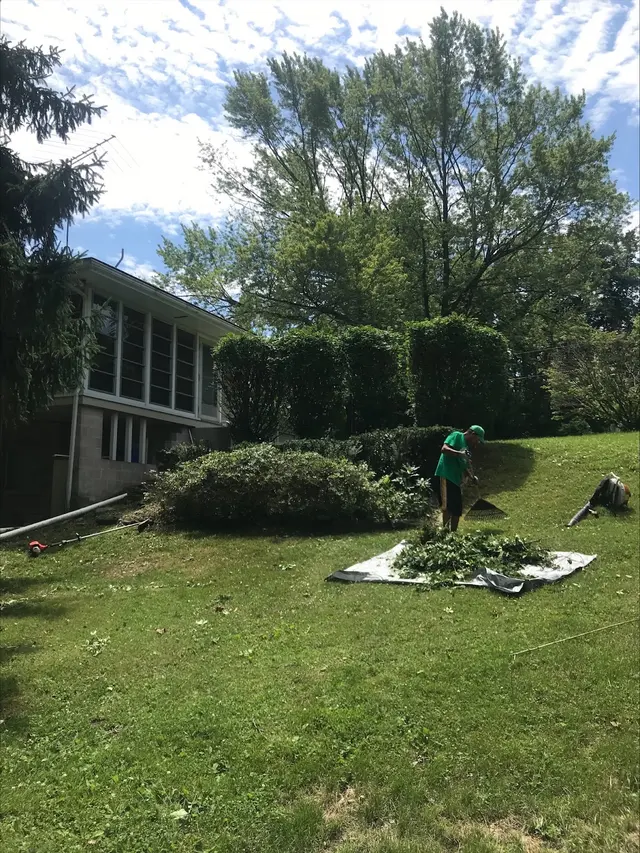 Ortiz Lawn Care and Landscaping — photo from the business 6