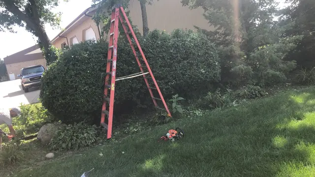 Ortiz Lawn Care and Landscaping — customer photo 12