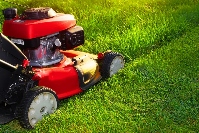 Ortiz Lawn Care and Landscaping — photo from the business 5