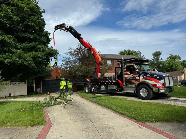 Kevins Tree and Landscaping of Michiana, Inc. — photo from the business 6