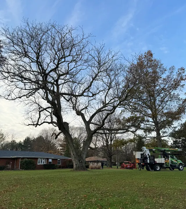Kevins Tree and Landscaping of Michiana, Inc. — photo from the business 5