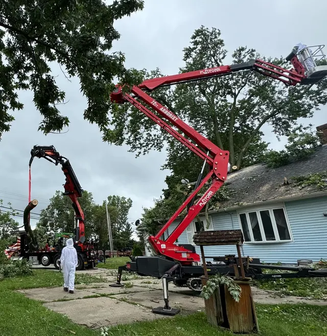 Kevins Tree and Landscaping of Michiana, Inc. — photo from the business 2