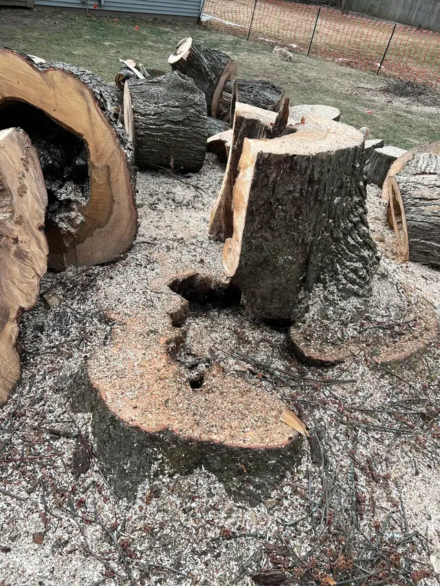 Kevins Tree and Landscaping of Michiana, Inc. — customer photo 11
