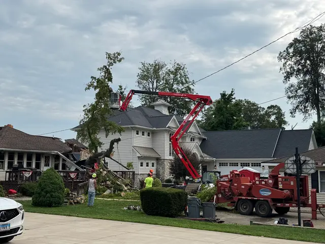Kevins Tree and Landscaping of Michiana, Inc. — customer photo 10