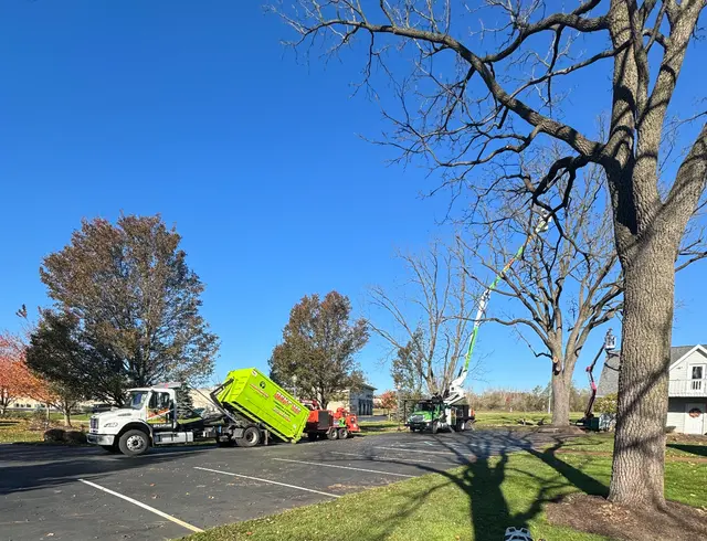 Kevins Tree and Landscaping of Michiana, Inc. — customer photo 9