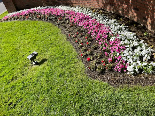 Fast Act Landscaping And Lawn Care LLC — photo from the business 11