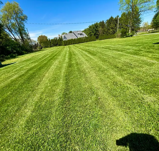 Penn Brothers Lawn and Landscaping LLC — photo from the business 2