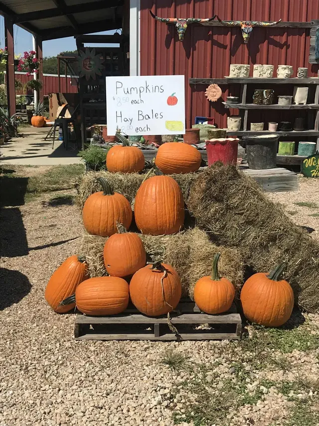 Grizzly's Hidden Falls Nursery & Landscaping — photo from the business 5