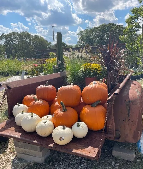 Grizzly's Hidden Falls Nursery & Landscaping — photo from the business 12