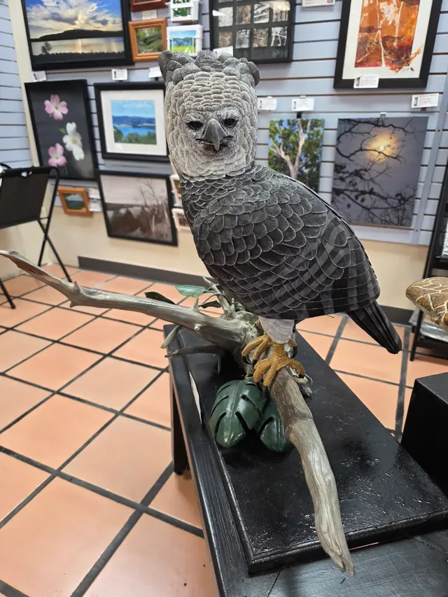 Table Rock Art Gallery — customer photo 12