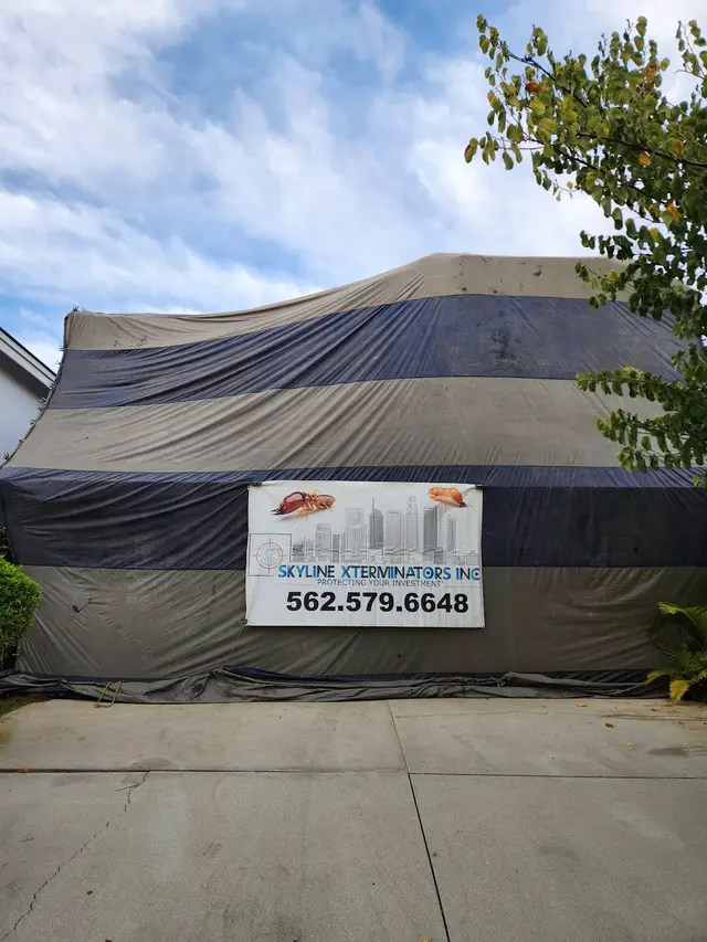 Skyline Xterminators Inc — photo from the business 5