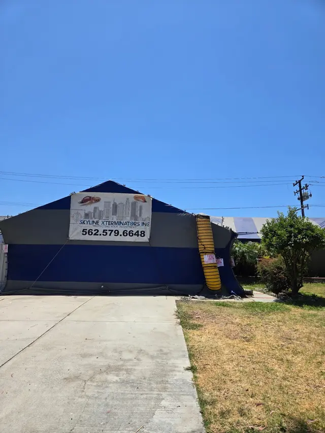 Skyline Xterminators Inc — photo from the business 6